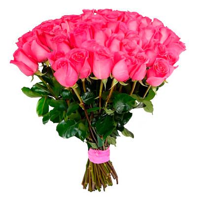 Розы Эквадор