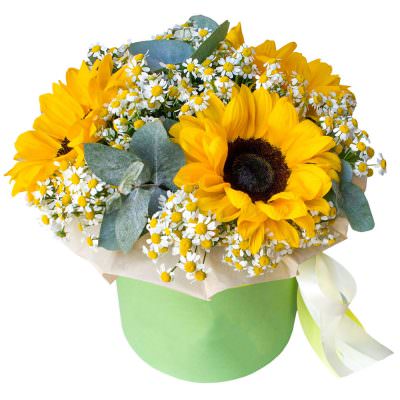 Коробка с живыми цветами «Подсолнуховая радость»
