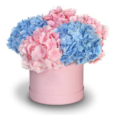 Коробочка с гортензиями «Трепет»