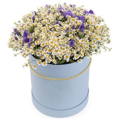 Ромашки и ирисы в шляпной коробке «Нежный бриз»