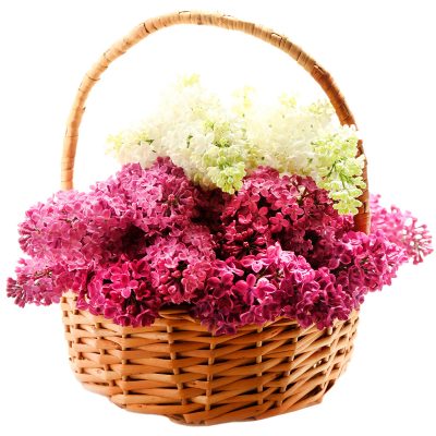 Корзина с сиренью «Весенняя сказка»